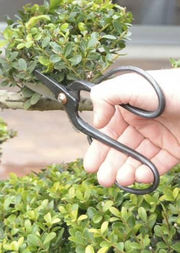 Купить Ножницы для бонсай Esschert Design по низкой цене