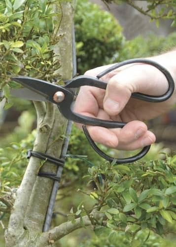 Купить Ножницы для бонсай Esschert Design по низкой цене