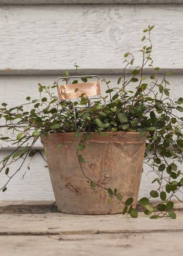 Купить Таблички для маркировки растений медные Esschert Design по низкой цене