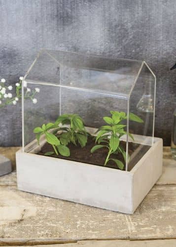 Купить Мини-теплица Esschert Design для рассады и цветов по низкой цене