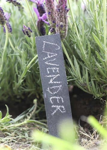 Купить Набор табличек для маркировки растений Esschert Design по низкой цене