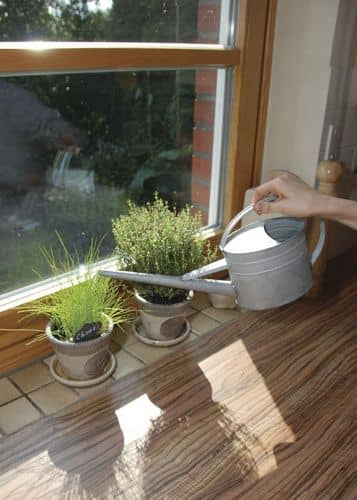 Купить Лейка оцинкованная для комнатных цветов Esschert Design по низкой цене