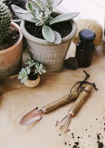 Купить Набор мини-инструментов Esschert Design 2 шт по низкой цене