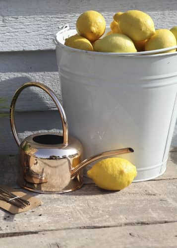 Купить Лейка медная для комнатных цветов Esschert Design по низкой цене