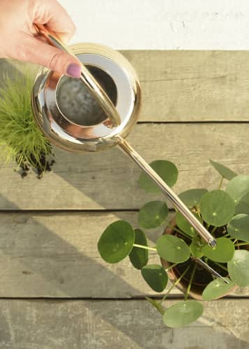 Купить Лейка медная для комнатных цветов Esschert Design по низкой цене