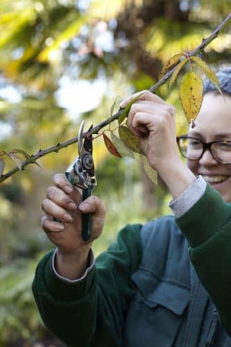 Купить Секатор Burgon & Ball карманный по низкой цене