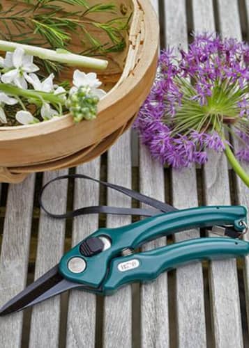 Купить Секатор флористический Burgon & Ball по низкой цене