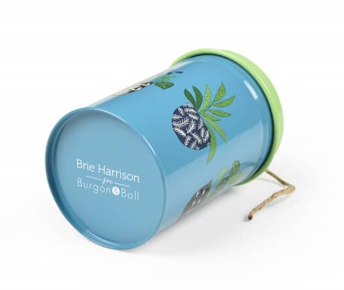 Купить Шпагат Burgon & Ball Brie Harrison джутовый в декоративном контейнере по низкой цене