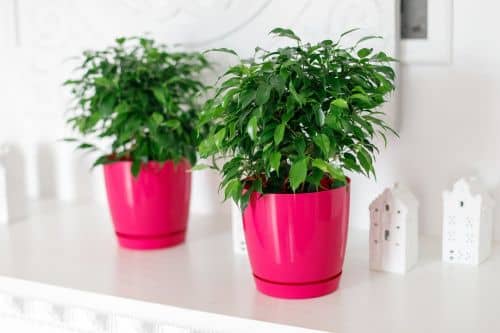 Купить Горшок ГарденПласт Фрезия 1 цветочный 2 л по низкой цене