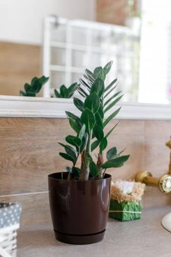 Купить Горшок ГарденПласт Фрезия 1 цветочный 2 л по низкой цене