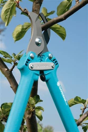 Купить Сучкорез Gardena 500 BL Comfort 08770 по низкой цене