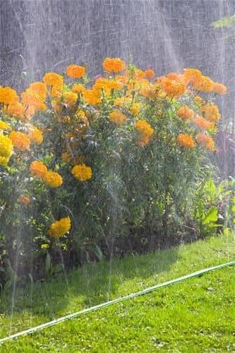 Купить Шланг-дождеватель Gardena зеленый 1995 7,5 м по низкой цене