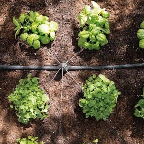 Купить Комплект Hozelock 7023 автополива с универсальными разбрызгивателями по низкой цене