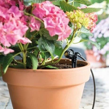 Купить Комплект Hozelock 7024 автополива с микроразбрызгивателями по низкой цене