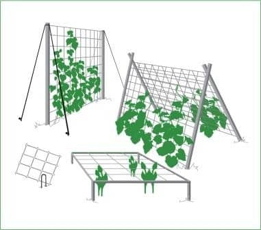 Купить Сетка Протэкт Ф-170/2/5 шпалерная для огурцов по низкой цене