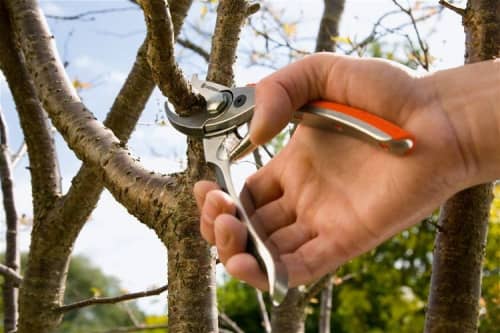 Купить Секатор Gardena BP 50 Premium 08702 по низкой цене