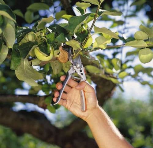 Купить Секатор Gardena BP 50 Premium 08702 по низкой цене