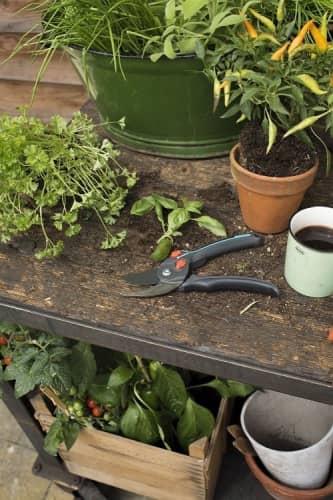 Купить Секатор Gardena B/S-XL Comfort 08905 по низкой цене