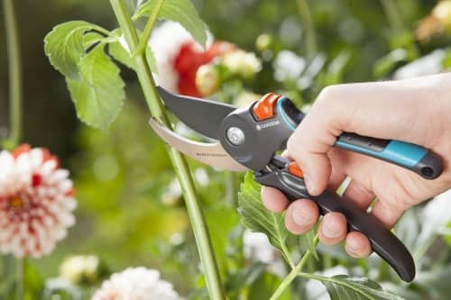 Купить Секатор Gardena B/M Comfort 08904 по низкой цене