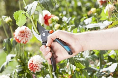 Купить Секатор Gardena B/M Comfort 08904 по низкой цене