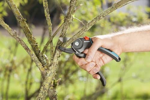 Купить Секатор Gardena A/M Comfort 08903 по низкой цене