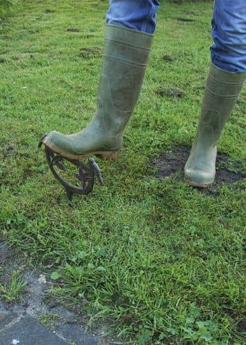 Купить Скребок для обуви "Птички" Esschert Design по низкой цене