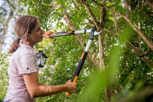 Купить Сучкорез Fiskars SmartFit L86 112500 телескопический по низкой цене