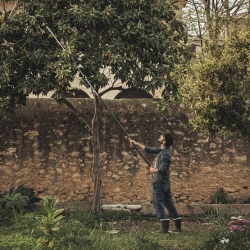 Купить Сучкорез Fiskars PowerGear UPX86 1023624 телескопический по низкой цене