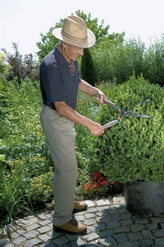 Купить Ножницы Gardena 540 FSC Classic 00391 для живой изгороди по низкой цене