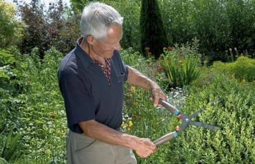 Купить Ножницы Gardena 540 FSC Classic 00391 для живой изгороди по низкой цене