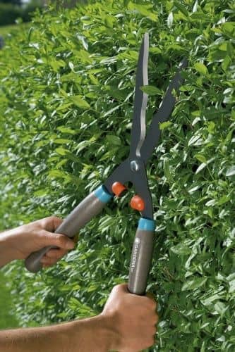 Купить Ножницы Gardena 540 FSC Classic 00391 для живой изгороди по низкой цене