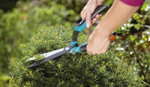 Купить Ножницы Gardena Boxwood Comfort 00399 для живой изгороди по низкой цене