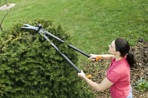 Купить Ножницы Fiskars Servo-System GS46 113690 для травы удлиненные по низкой цене