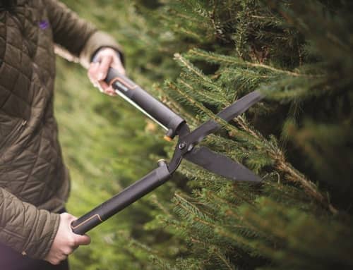 Купить Ножницы Fiskars SingleStep HS22 114730 по низкой цене
