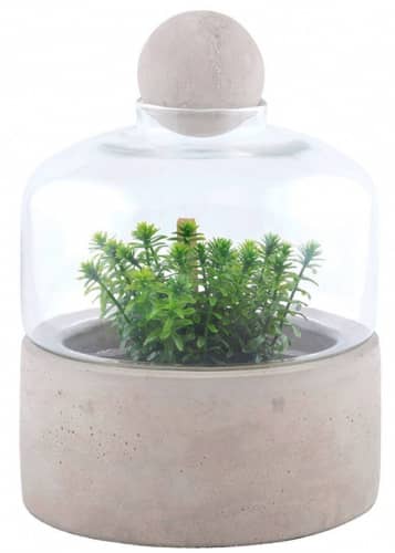 Купить Террариум Esschert Design для растений, S по низкой цене