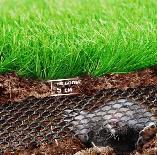 Купить Сетка Протэкт Газон-1/1 Г-9 газонная черная 9х9 мм 2х30 м по низкой цене