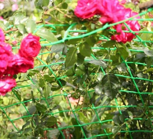 Купить Сетка Протэкт Ф-90 для плетистых роз и винограда хаки 90х100 мм 5 м по низкой цене