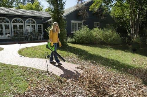 Купить Воздуходувка Greenworks G40ABK6 аккумуляторный с аккумулятором 6 А.ч и зарядным устройством по низкой цене