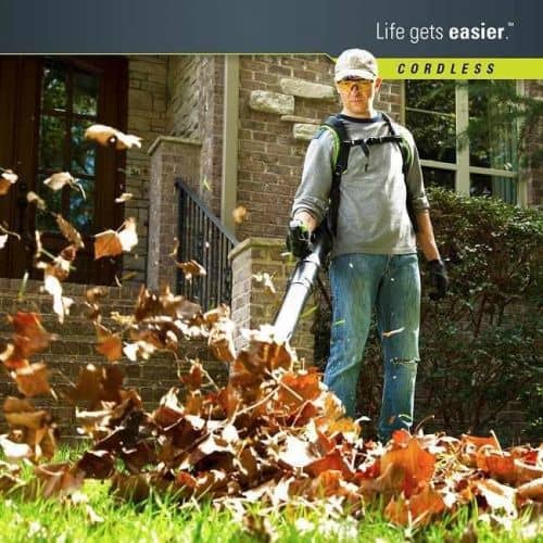 Купить Воздуходувка Greenworks GD60BPB аккумуляторный ранцевый без аккумулятора и зарядного устройства по низкой цене