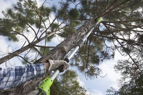 Купить Высоторез Greenworks G40PS20 сучкорез аккумуляторный без аккумулятора и зарядного устройства по низкой цене