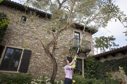 Купить Высоторез Greenworks G40PS20 сучкорез аккумуляторный без аккумулятора и зарядного устройства по низкой цене