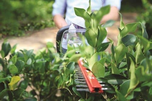 Купить Кусторез Greenworks Deluxe G24HT57 аккумуляторный без аккумулятора и зарядного устройства по низкой цене