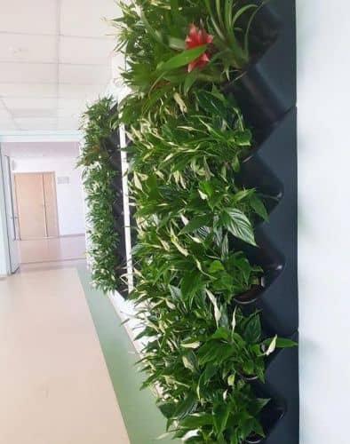 Купить Вертикальный сад BOXSAND фитостена 100х180 см по низкой цене