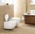 биде villeroy & boch aveo new generation 741100r2 подвесное Купить Биде Villeroy & Boch Aveo New Generation 741100R2 подвесное по низкой цене