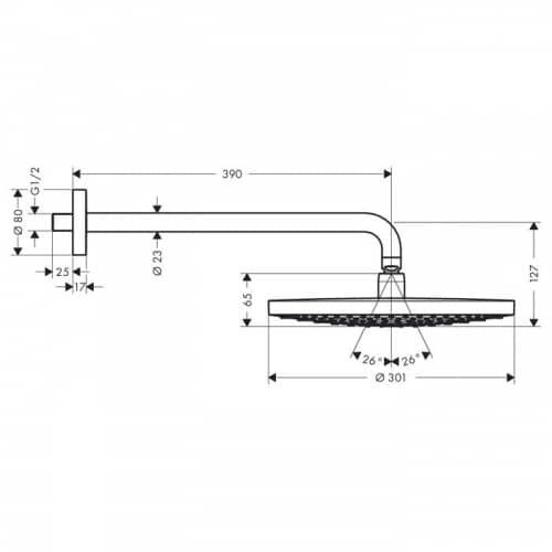 Купить Душ Hansgrohe Raindance Select S 300 27378400 верхний по низкой цене