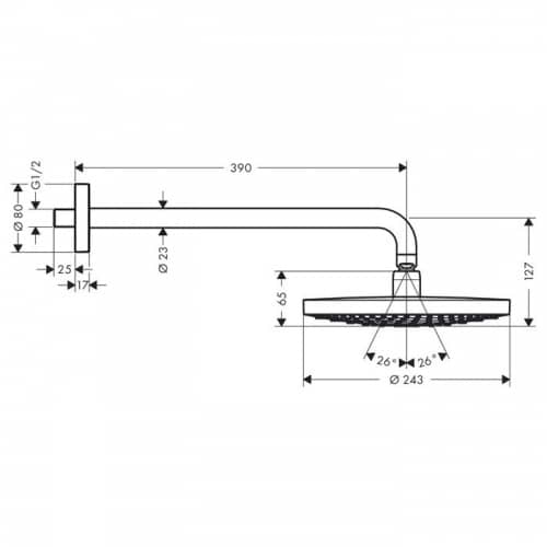 Купить Душ Hansgrohe Raindance Select S 240 26466400 верхний по низкой цене