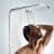 Купить Панель Hansgrohe Raindance Lift 27008000 душевая по низкой цене