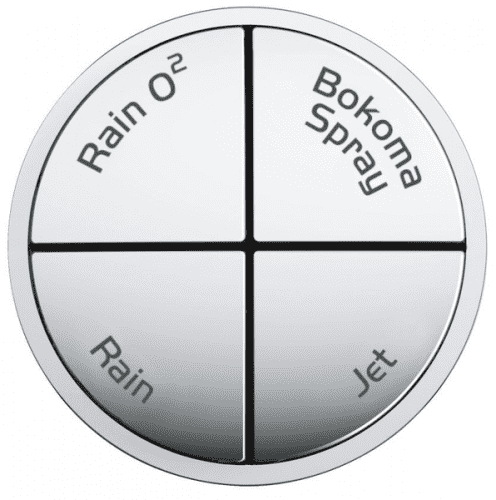 Купить Душ Grohe Power&Soul 27675000 ручной по низкой цене