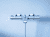 термостат grohe grohtherm 800 34567000 для ванны Купить Термостат Grohe Grohtherm 800 34567000 для ванны по низкой цене
