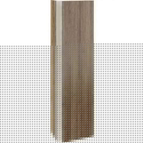 Купить Шкаф-пенал Ravak 10 градусов SB 450 X000000753 темный орех по низкой цене